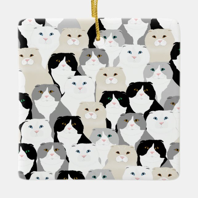 Skotsk Fold Katter Ornament (Framsida)