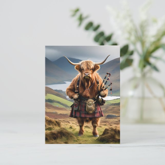 Skotsk Highland Cow Bagpiper,  Vykort (Stående Fram)