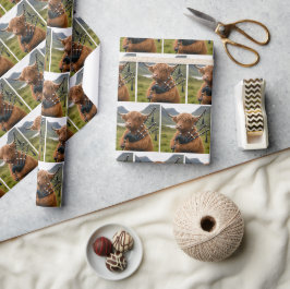 Skotsk Highland Ko som spelar säckpipa Presentpapper