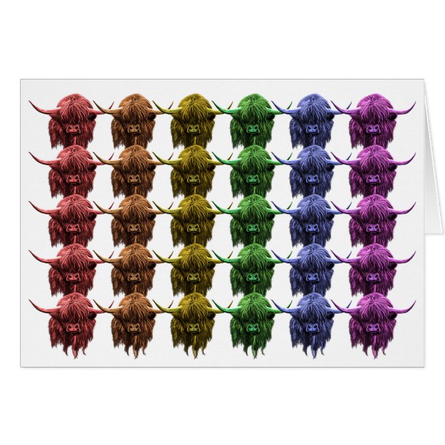 Skotsk höglands- ko hälsningskort (Framsidan Horizontal)