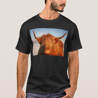 Skotsk höglands- ko - Skottland Tee Shirt