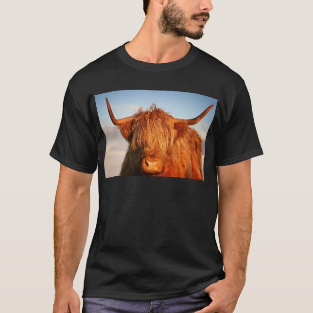 Skotsk höglands- ko - Skottland Tee Shirt (Framsida)