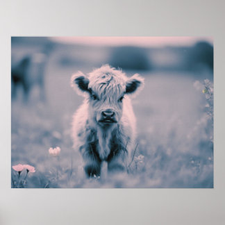 Skotsk höglandskalf Baby Cow Rosa Tint Skriv ut Poster