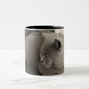 skotsk kattkaffe mugg
