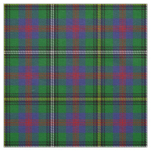 Skotsk Klan Wood Tartan Play Tyg