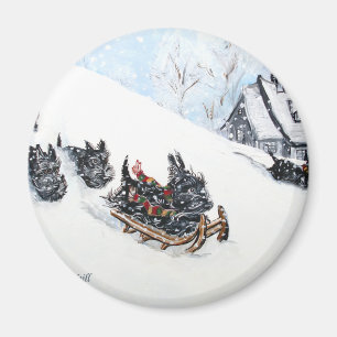 Skotsk Sledding för Terriers Magnet