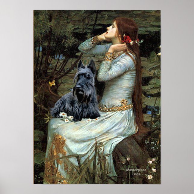 Skotsk terrier 2 - Ophelia sittande Poster (Framsidan)
