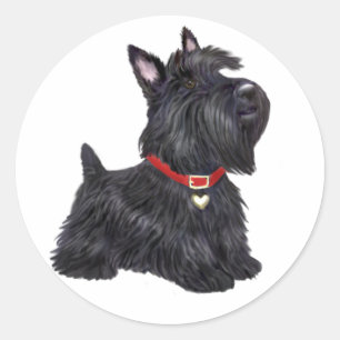 Skotsk terrier (A) - (av JBF) Runt Klistermärke