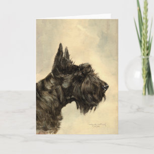 Skotsk terrier gratulationskort kort