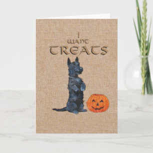 Skotsk terrier Halloween- gratulationskort Kort