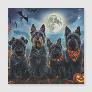 Skotsk Terrier Halloween Kuslig