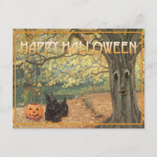 Skotsk terrier Halloween Vykort