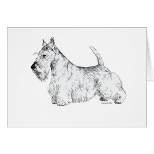 Skotsk Terrier Hälsningskort