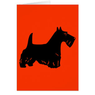 Skotsk Terrier Hälsningskort