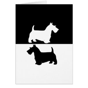 skotsk terrier hälsningskort
