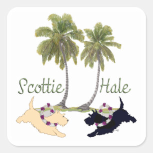 Skotsk terrier hawaiisk design fyrkantigt klistermärke