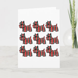 SKOTSK TERRIER HELGKORT