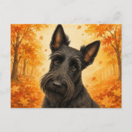 Skotsk Terrier Höst Hund Vykort