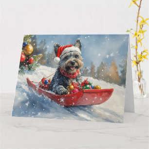 Skotsk terrier i släde Låt det snöa jul Kort