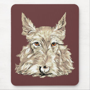 Skotsk Terrier i Wheaten Musmatta