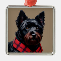 Skotsk terrier