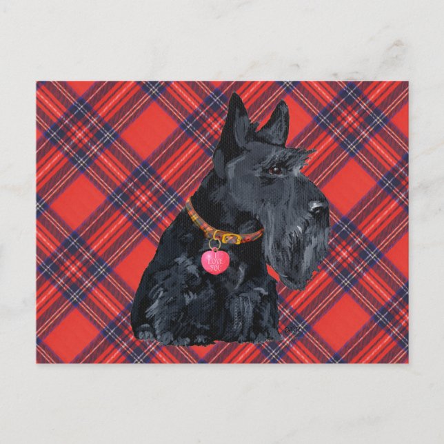 Skotsk Terrier Kärlek Vykort (Framsida)