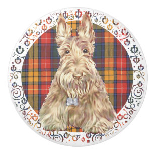 Skotsk terrier knopp