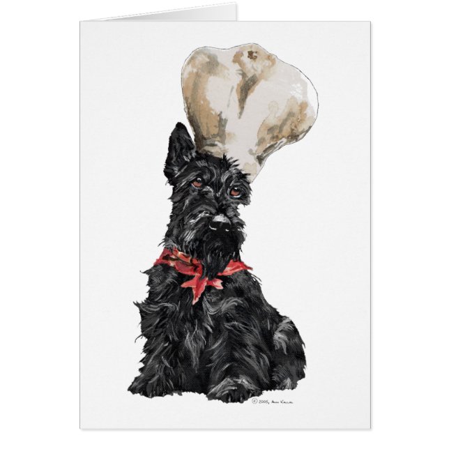 Skotsk terrier kock hälsningskort (Framsidan)