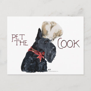 Skotsk terrier kock vykort