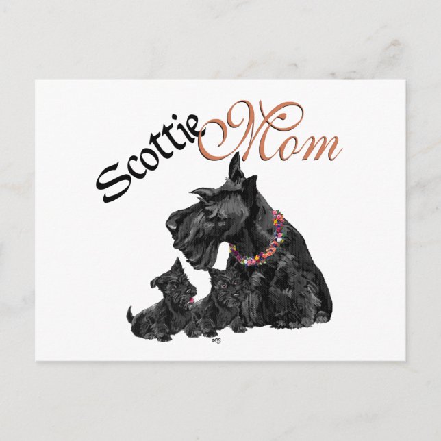 Skotsk terrier-mamma och valpar till mors dag vykort (Framsida)