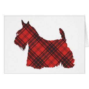 Skotsk terrier Maxwell Tartan Hälsningskort