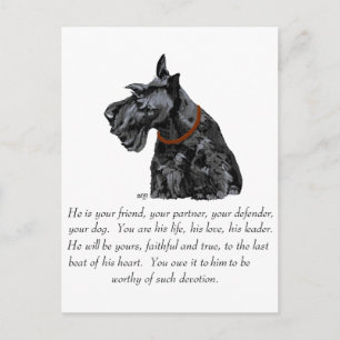 Skotsk terrier- minnessak - HANE Hund Vykort