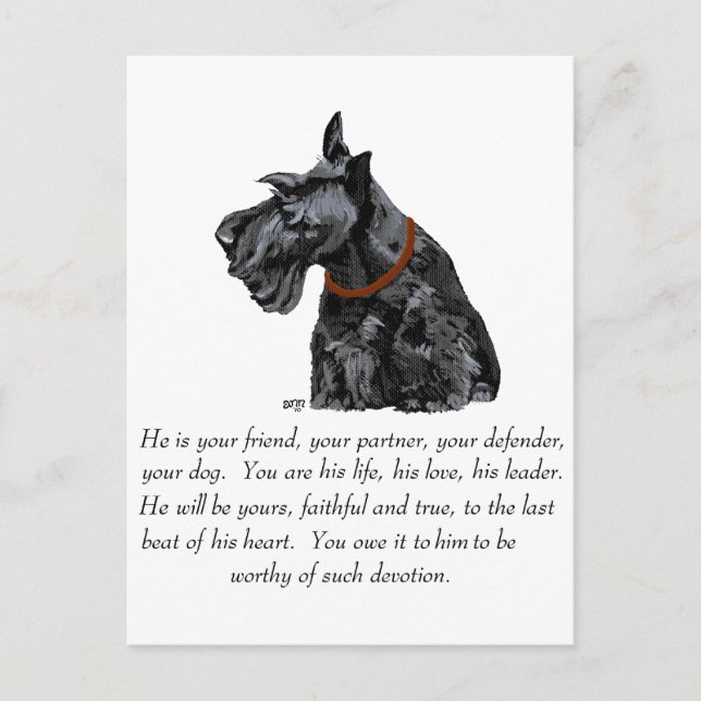 Skotsk terrier- minnessak - HANE Hund Vykort (Framsida)