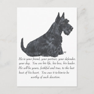 Skotsk terrier- minnessak - HANE Hund Vykort