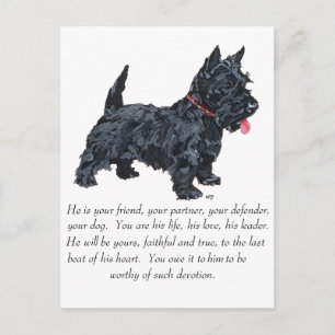 Skotsk Terrier- minnessak - HANE Hund Vykort