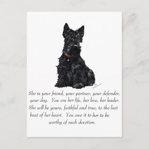 Skotsk Terrier- minnessak - HONOR Vykort
