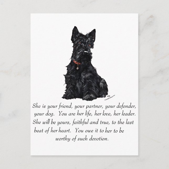 Skotsk Terrier- minnessak - HONOR Vykort (Framsida)