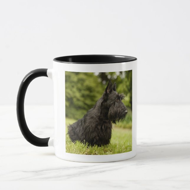Skotsk Terrier Mugg (Vänster)