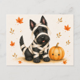 Skotsk Terrier Mummie Halloween Vykort