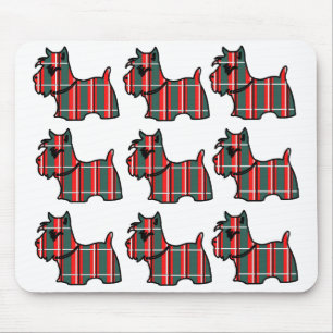 SKOTSK TERRIER MUSMATTA