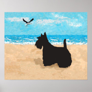 Skotsk terrier och mås poster
