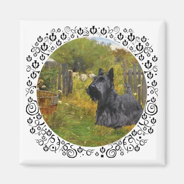 Skotsk terrier på gården magnet (Framsidan)