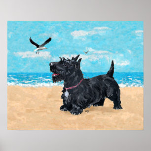 Skotsk terrier på stranden poster
