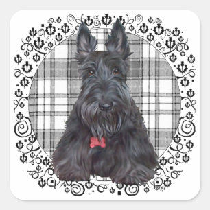 Skotsk terrier på tartan fyrkantigt klistermärke