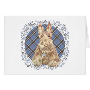 Skotsk terrier på tartan hälsningskort