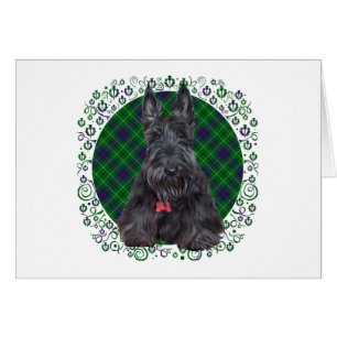 Skotsk terrier på tartan hälsningskort
