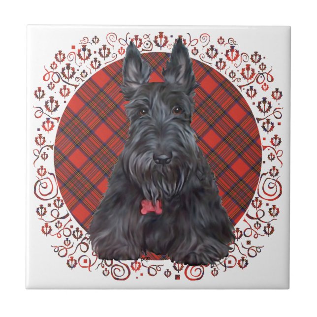 Skotsk terrier på tartan kakelplatta (Framsidan)