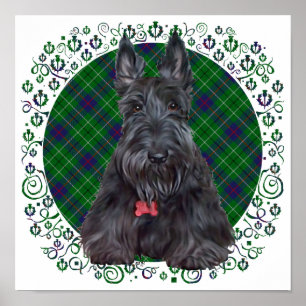 Skotsk terrier på tartan poster