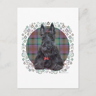 Skotsk terrier på tartan vykort