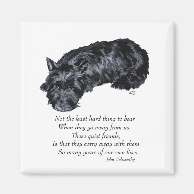 Skotsk terrier Rainbow Bridge Magnet (Framsidan)